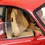 Miniatura: Ferrari F430 1:18 BBR