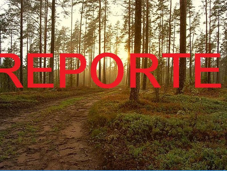 ***REPORTE***  Sortie botanique à Sivens 