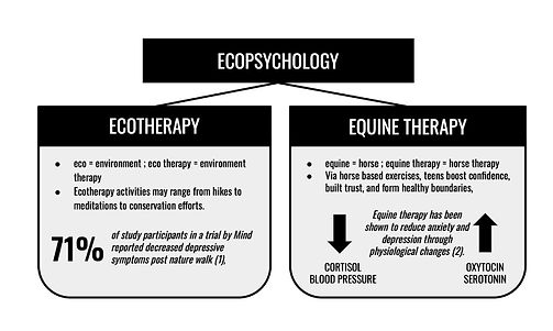 Elements of Ecopsychology