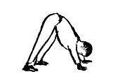 dog pose.jpg