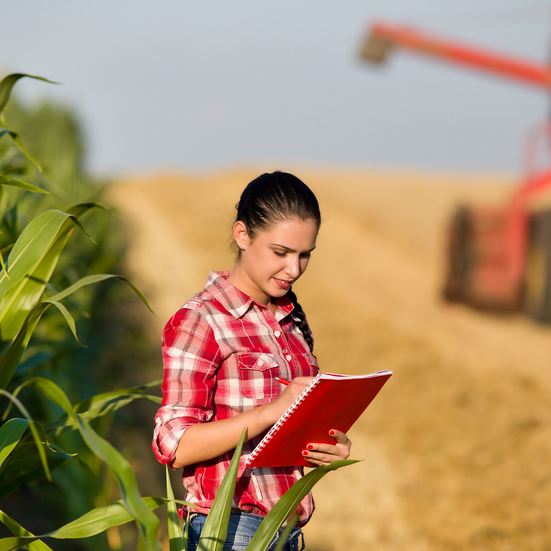 Design sem nome (2).png