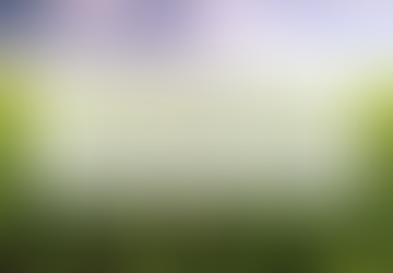 Vazio Sanitário da Soja