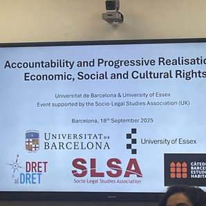 Conference slide titled "Accountability and Progressive Realisation of Economic, Social and Cultural Rights," featuring logos of universities and the SLSA.