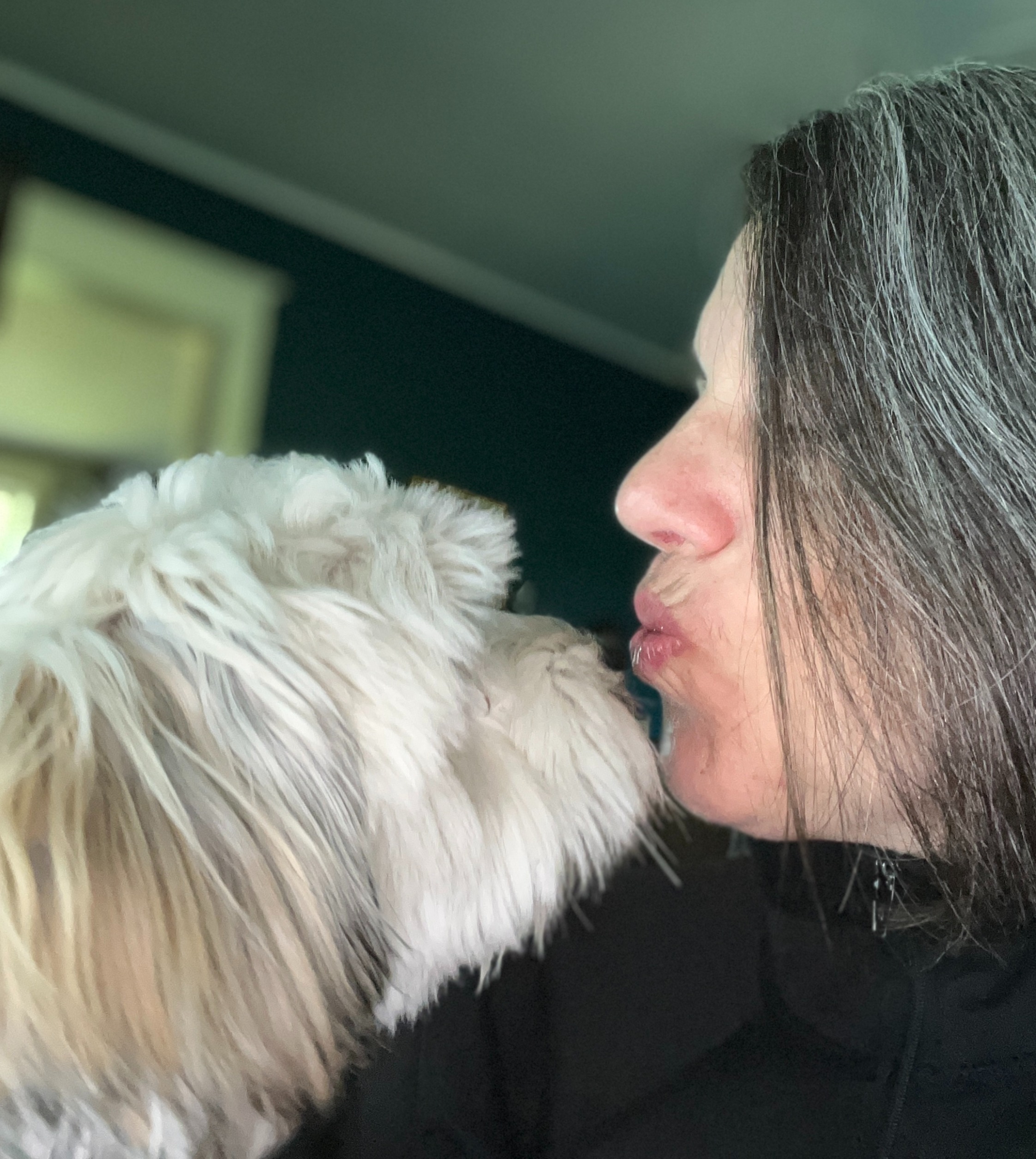 Writer: Lisa Buchanan