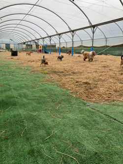 69415363_10156524318818297_4738902382799