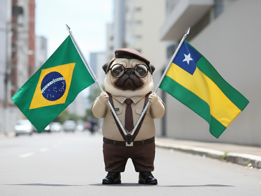 Goiás divulga edital para ingresso nos Colégios Militares de Cidade Ocidental, Valparaíso e Novo Gama