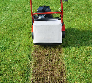 verti.png