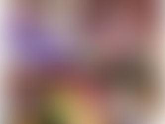 生活発表会🐭🏰🏳️‍🌈❤️