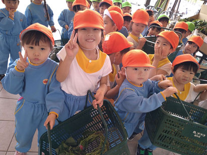 お買い物とさくらんぼ狩り