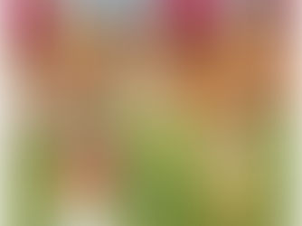 もも組　園外保育