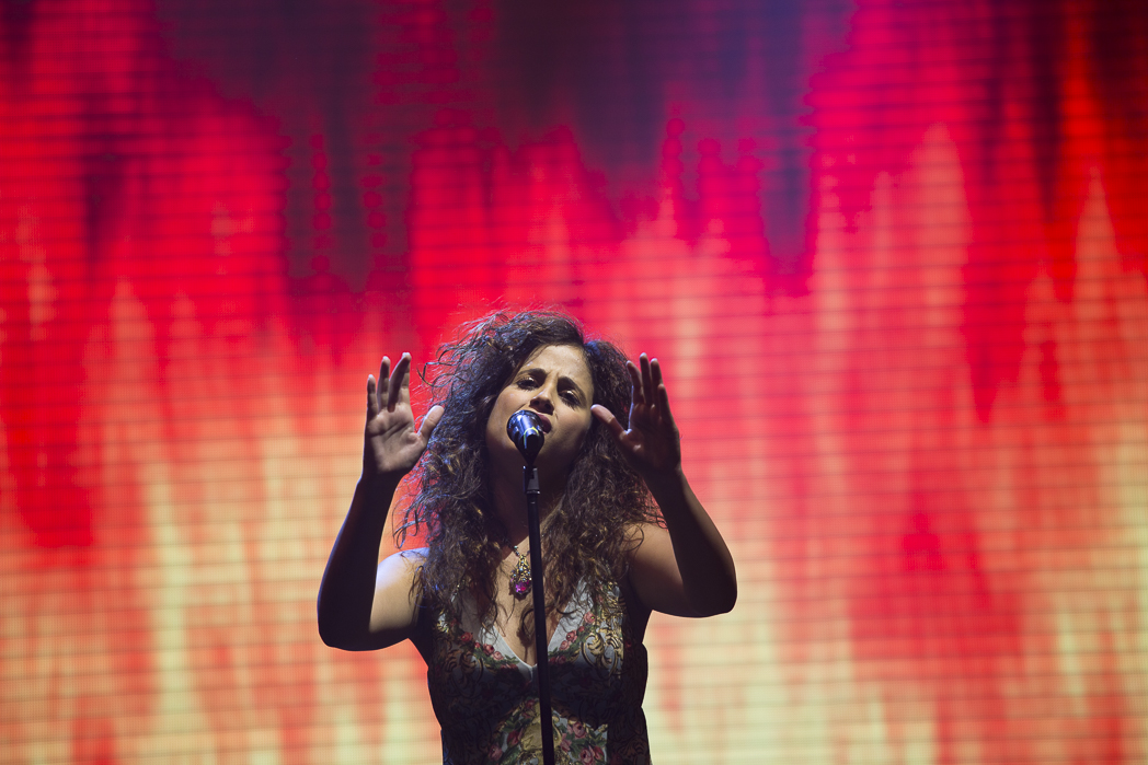 Liel Kolet's Official Website