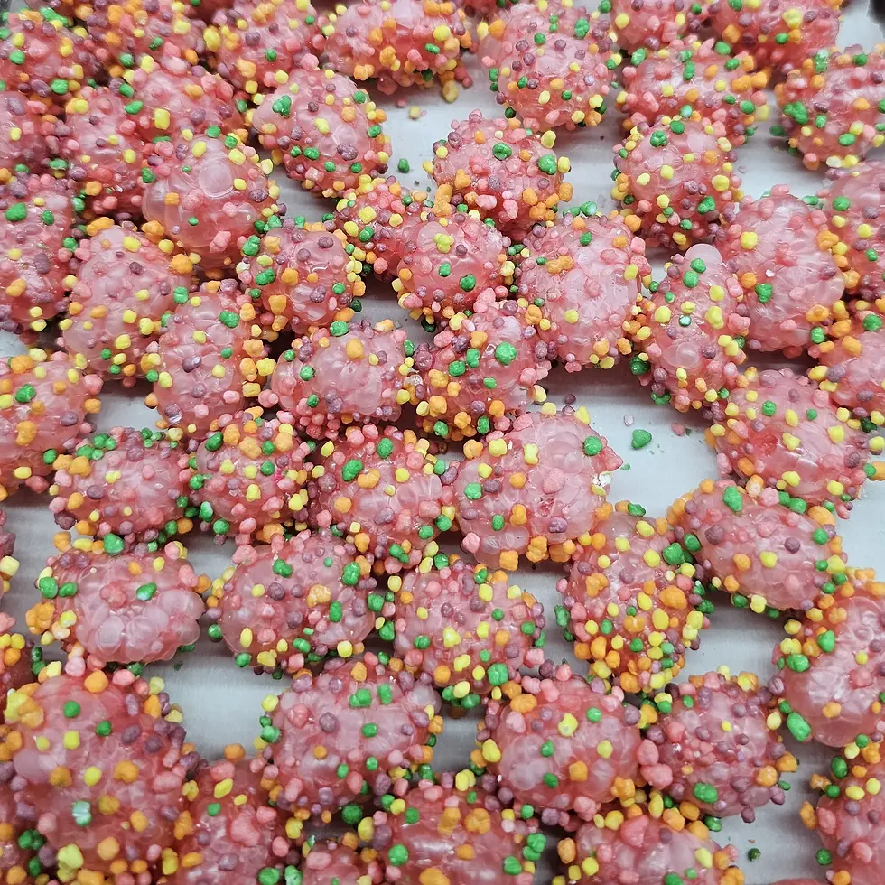 Freeze Dried Candy - Freeze Dried Nerdy Explosions - Just Freeze It Sweets