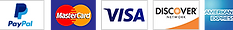 Visa Logo