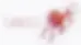 Rectangle (57).webp