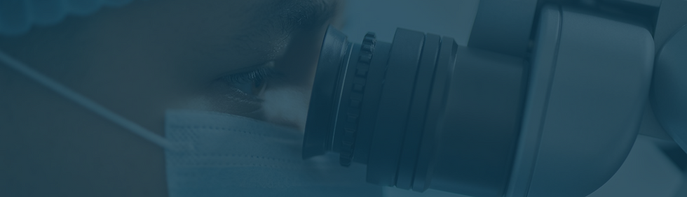 Rectangle 161124659.png