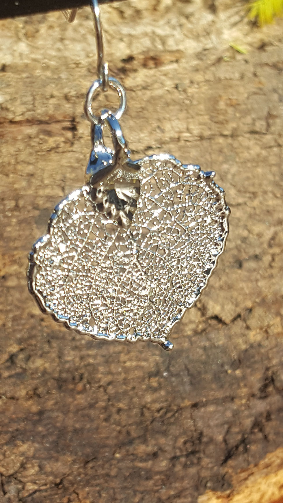Thumbnail: Aspen leaf 