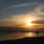 Muriwai Beach