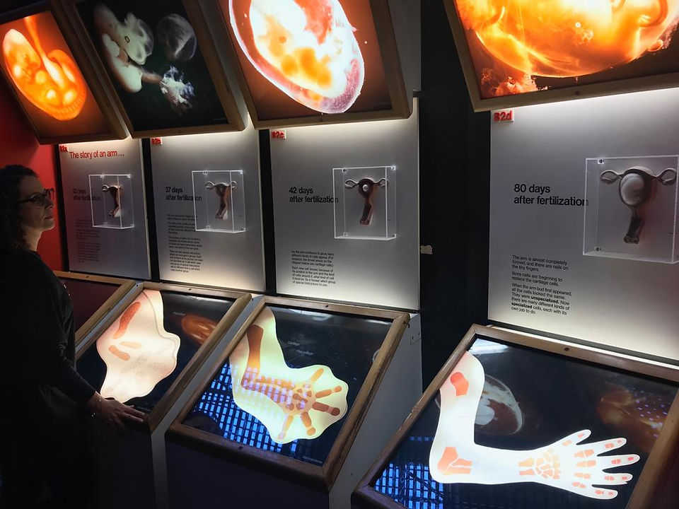 serie I2