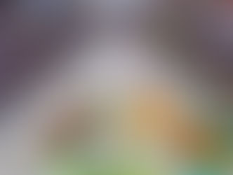 Soaring Global Food Prices Are Heading to Grocery Stores