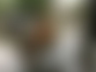 Tropical Storm Barry Develops in the Gulf, Threatening More Epic Flooding in Louisiana