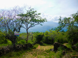 3135 M