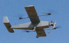 CD9 IMAGE.GIF