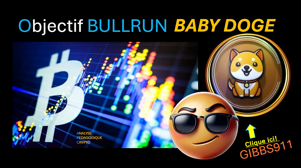 Analyse de la crypto BABY DOGE par Cédric Giboulot