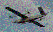 CD20 IMAGE.GIF