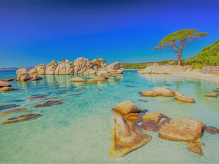 Drone video of the week ! BEST VIDEOS OF BEACHES