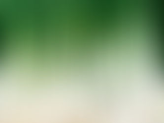 L'oignon vert : le légume qui repousse !