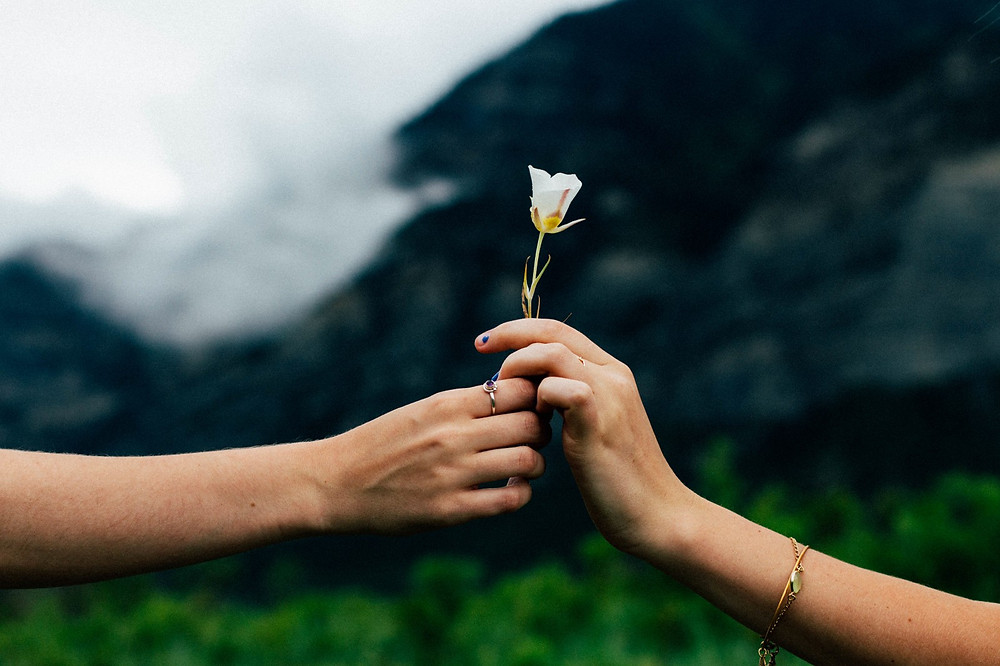 hands offering flower of forgiveness