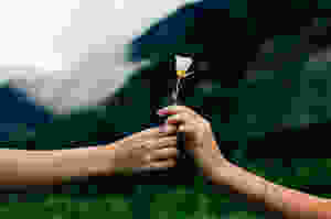 hands offering flower of forgiveness
