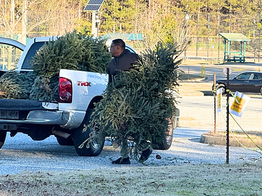 Christmas Tree.png