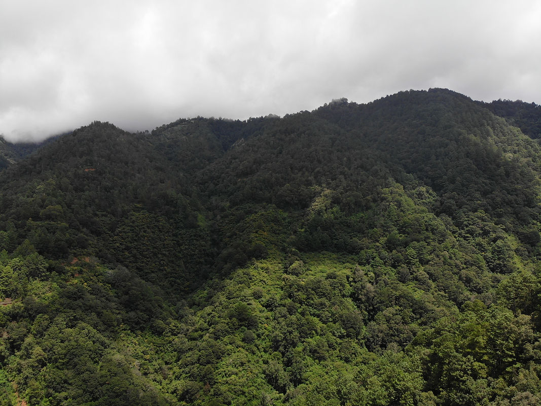 DJI_0836.JPG