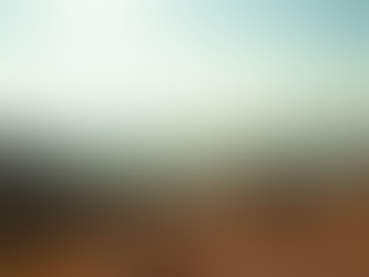 Tierras para inversión segura: La Seguridad de Invertir en Tierra en Oaxaca