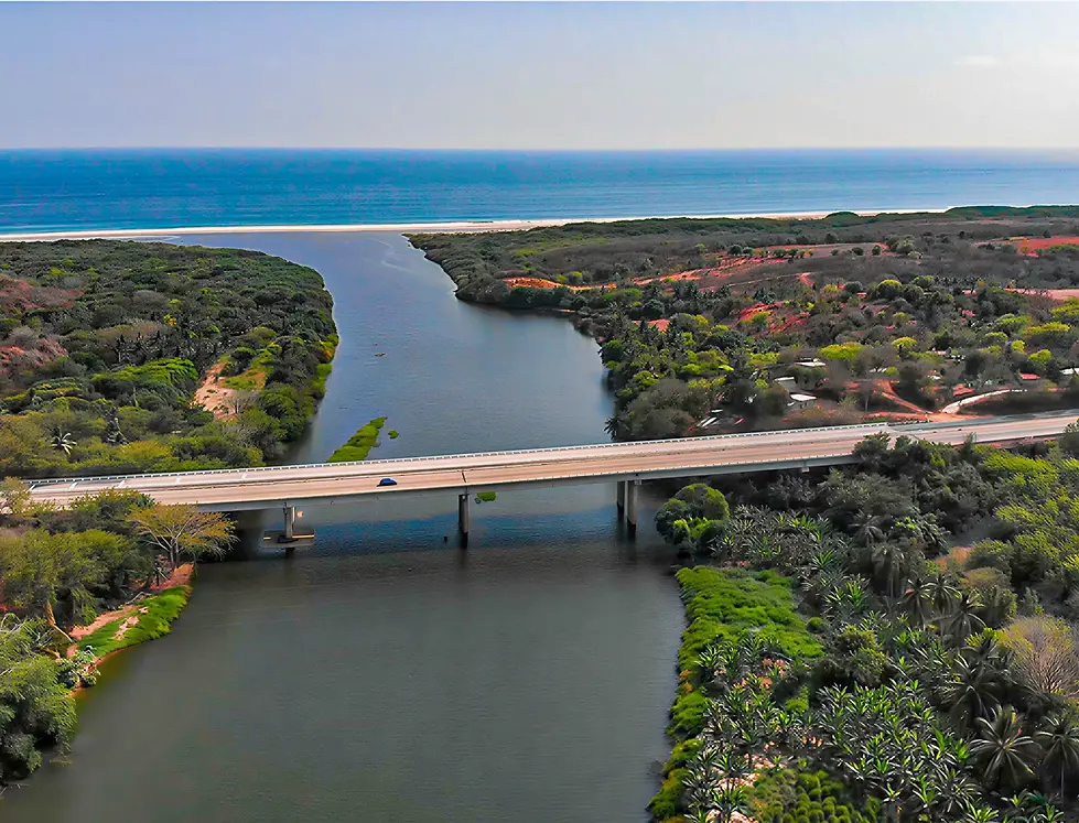 Imagen Mejorada (1).webp