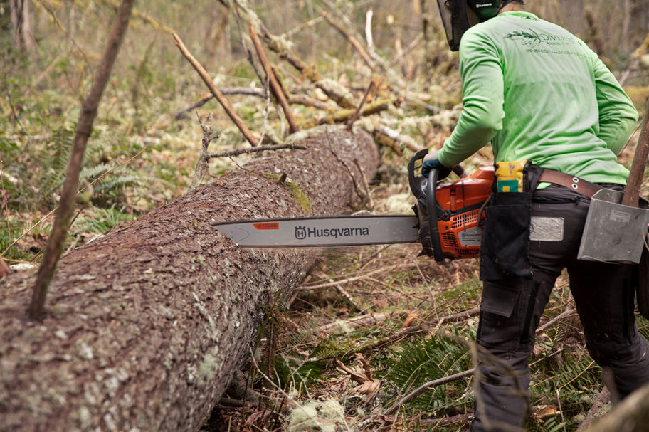 Husqvarna 585 Gas Powered Chainsaw