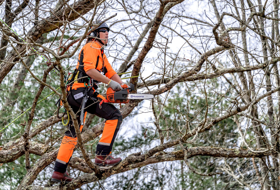 Husqvarna T525 Gas Powered 12" Chainsaw