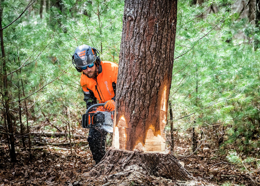 Husqvarna 572XP Gas Powered Chainsaw