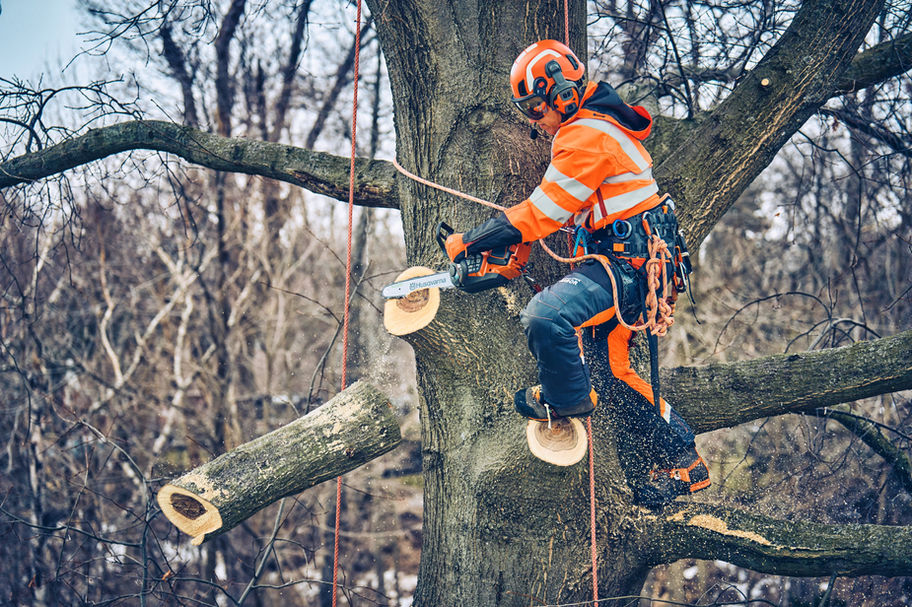 Husqvarna T542iXP Battery Powered Chainsaw