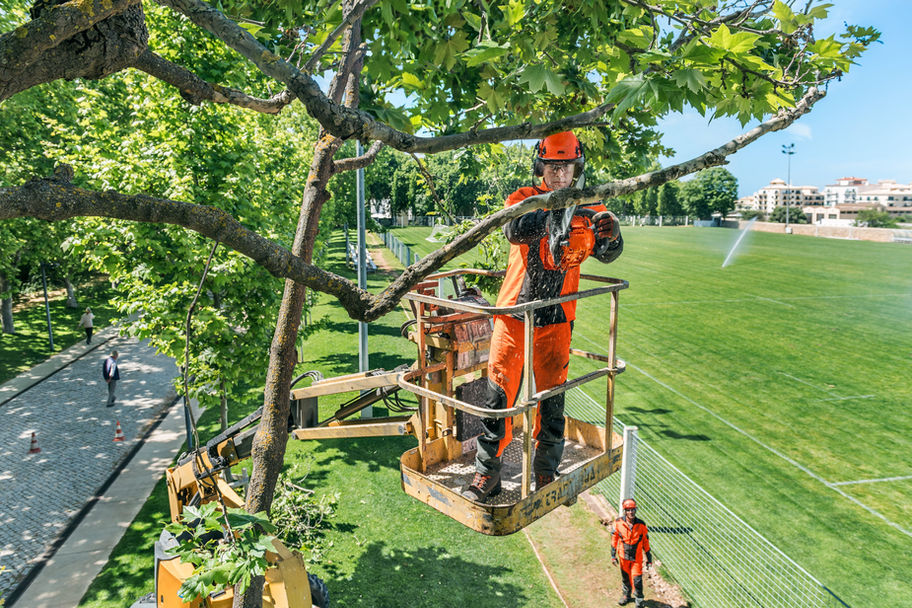 Husqvarna T435 Gas Powered Chainsaw