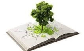 ÁRBOL DEL LIBRO.jpg