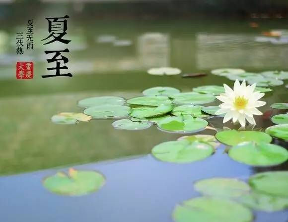 縮圖：17节气养生与河洛内修动练—寒露  下