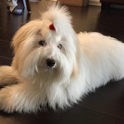 Pretty Girl