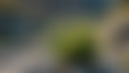 Shifting Mindset: How to Transform Negative Situations into Positive Growth Opportunities