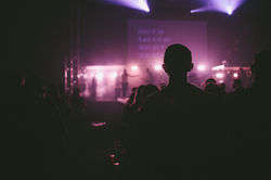 Audience Sitting During a Concert 