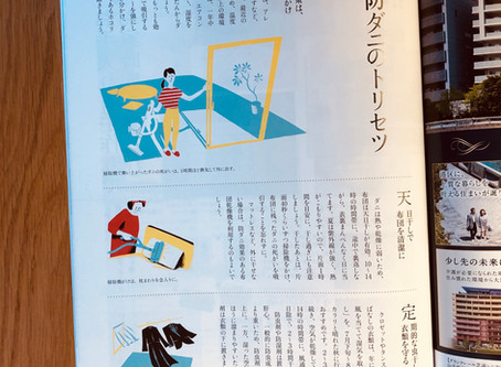こすもす 夏号