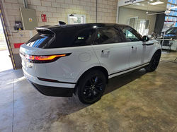 471110769_993840359453203_3046438337486618716_n