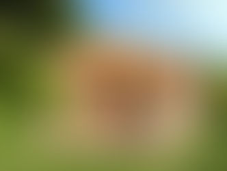 Einige wichtige Dinge, die Sie wissen müssen, bevor Sie ein vorfabriziertes Gartenhaus des Holzes ka