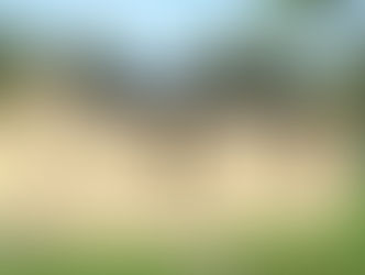 Warum sollten Sie ein vorgefertigtes Paket von Gartenholzgaragen kaufen?